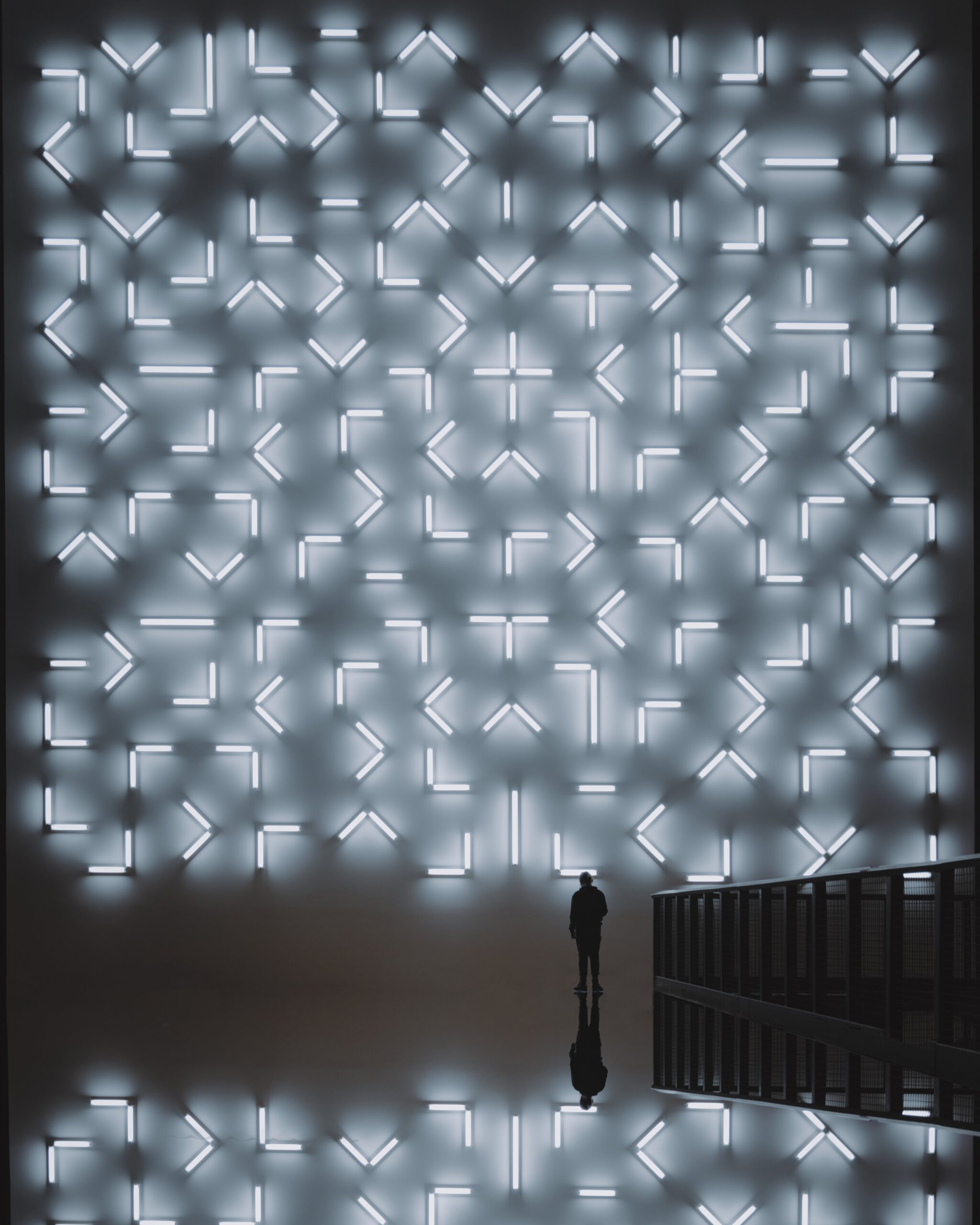 electric gallery Medici
